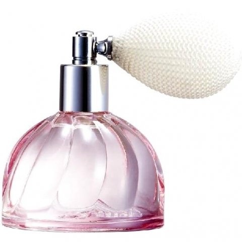 Chaton Mignon - Minette Pêche